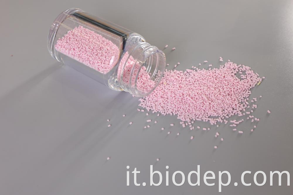 Lactococcus Lactis